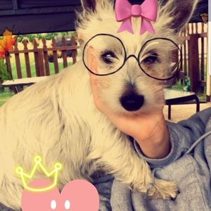 Meet your Posher, Michelle